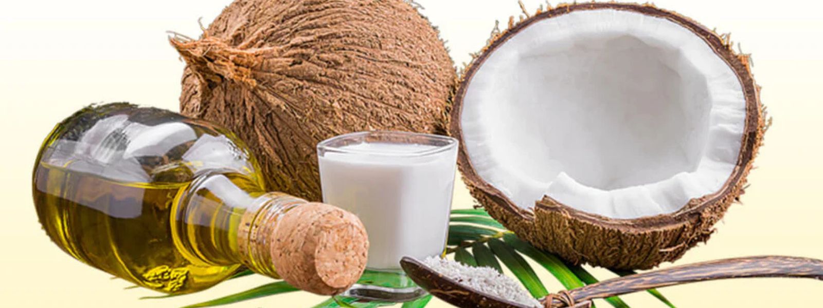 Coconut Exports Surpass USD 1 Billion